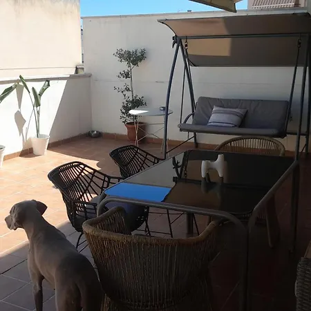 Apartament Jacaranda *